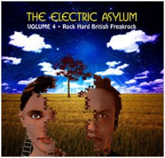 Blandade Artister - Electric Asylum Vol 4 i gruppen CD / Pop-Rock hos Bengans Skivbutik AB (603424)