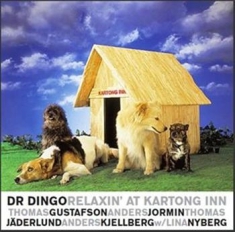 Dr Dingo - Relaxin' At Kartong Inn