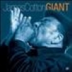 Cotton James - Giant i gruppen CD / Jazz/Blues hos Bengans Skivbutik AB (620057)