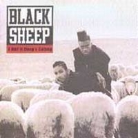 Black Sheep - Wolf In Sheep's Clothing i gruppen CD / Pop hos Bengans Skivbutik AB (620139)