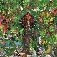 Plankton Wat - Drifter's Temple i gruppen ÖVRIGT / Övrigt / aub hos Bengans Skivbutik AB (627612)