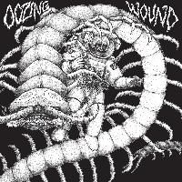 Oozing Wound - Retrash i gruppen CD / Pop-Rock hos Bengans Skivbutik AB (627623)