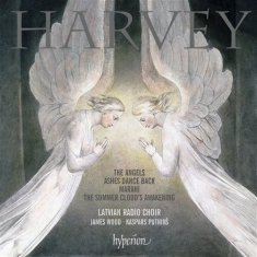 Harvey - The Angels