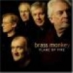 Brass Monkey - Flame Of Fire i gruppen CD / Elektroniskt hos Bengans Skivbutik AB (662518)