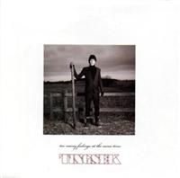 Tingsek - Too Many Feelings At The Same Time i gruppen CD / Pop hos Bengans Skivbutik AB (668236)