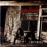 Cotton James - Deep In The Blues i gruppen CD / Jazz/Blues hos Bengans Skivbutik AB (677338)