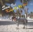 Sam Bush - King Of My World i gruppen CD / Country hos Bengans Skivbutik AB (687950)