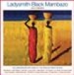 Ladysmith Black Mambazo - And Friends i gruppen CD / Elektroniskt hos Bengans Skivbutik AB (695870)
