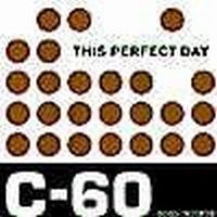 This Perfect Day - C60 i gruppen VI TIPSAR / Lagerrea / CD REA / CD POP hos Bengans Skivbutik AB (697353)