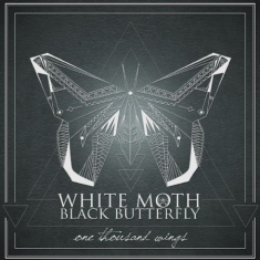 White Moth Black Butterfly - One Thousand Wings