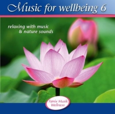 Blandade Artister - Music For Wellbeing Vol.6