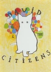 David And The Citizens - 1999-2005