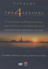 Il Giardino Armonico - Vivaldi : The Four Seasons Dvd i gruppen ÖVRIGT / Musik-DVD & Bluray hos Bengans Skivbutik AB (883717)