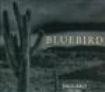 Bluebird - Saguaro (1995-2003) i gruppen CD / Pop hos Bengans Skivbutik AB (953869)