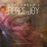 Matt Sorum's Fierce Joy - Stratosphere i gruppen CD hos Bengans Skivbutik AB (994954)