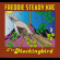 Freddie Steady Krc - The Mockingbird Freddie Steady Krc - The Mockingbird
