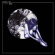 September Girls - Veneer September Girls - Veneer