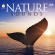 Blandade Artister - Nature Sounds Blandade Artister - Nature Sounds