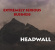 Extremely Serious Business - Headwall Extremely Serious Business - Headwall