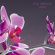 Blandade Artister - Pop Ambient 2016 Blandade Artister - Pop Ambient 2016