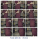 Ferrara Paolo - Ritmico (+Dvd) Ferrara Paolo - Ritmico (+Dvd)