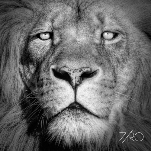 Ziro - Lionheart Ep