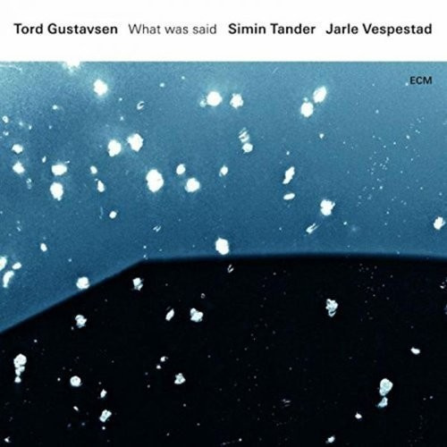 Tord Gustavsensimin Tander Jarle - What Was Said