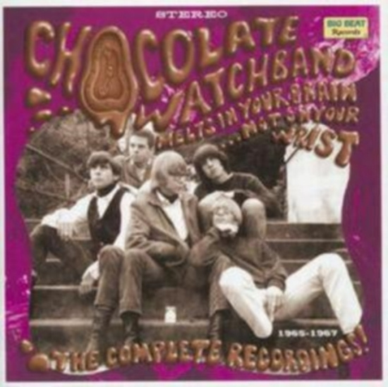 Chocolate Watchband - Melts In Your Brain...Not On Your W