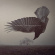 Katatonia - Fall Of Hearts The (2 Lp) Katatonia - Fall Of Hearts The (2 Lp)