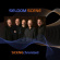 Seldom Scene The - Scenechronized Seldom Scene The - Scenechronized