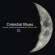 Various Artists - Celestial Blues - Cosmic,Political Various Artists - Celestial Blues - Cosmic,Political