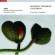 Various/ Juul Sorensen Jesper - Romantic Trombone Concertos Various/ Juul Sorensen Jesper - Romantic Trombone Concertos
