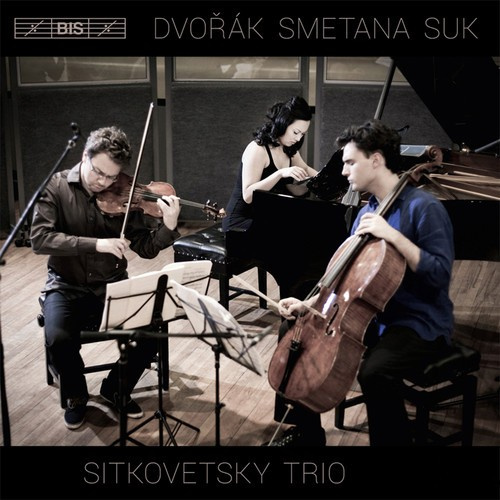 Dvorak / Smetana / Suk - Piano Trios