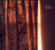 Jeck Philip - Stoke Jeck Philip - Stoke