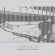 Contrastate - True Believer Contrastate - True Believer