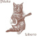 Pilote - Libero Pilote - Libero