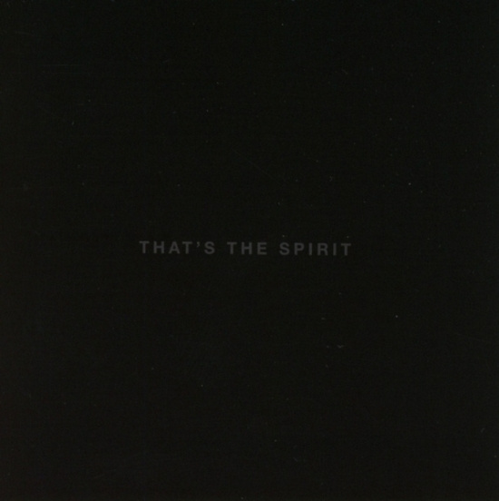 Bring Me The Horizon - That's The Spirit