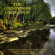 Blandade Artister - Countryside Collection Blandade Artister - Countryside Collection