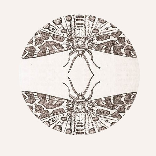 Jute Gyte - Sparrow