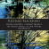 Maria Gajdosova Brno Philharmonic - Violin Concerto Clarinet Quintet Maria Gajdosova Brno Philharmonic - Violin Concerto Clarinet Quintet