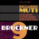 Sergi Berliner Philharmoniker - Anton Bruckner: Symphony No. 9 Sergi Berliner Philharmoniker - Anton Bruckner: Symphony No. 9