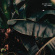 Samson Will - Welcome Oxygen Samson Will - Welcome Oxygen