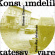 Dietmar Diesner Sven-Åke Johansson - Konsumdelikatessware Dietmar Diesner Sven-Åke Johansson - Konsumdelikatessware