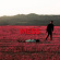 Tuvaband - Mess Tuvaband - Mess