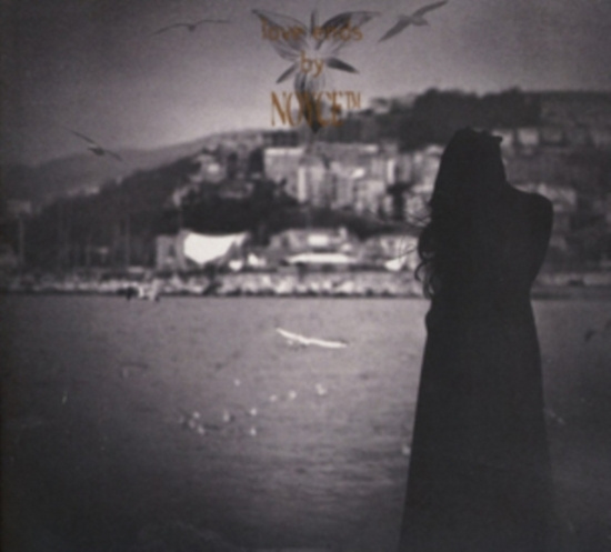 Noyce Tm - Love Ends