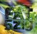 Blandade Artister - Freude Am Tanzen 5Zig Compilation Blandade Artister - Freude Am Tanzen 5Zig Compilation