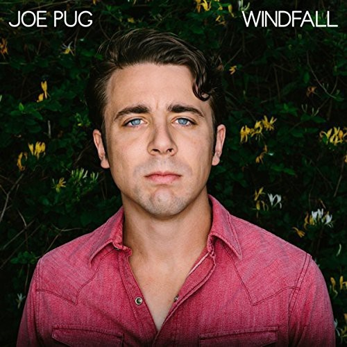Pug Joe - Windfall