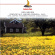 Royal Liverpool Philharmonic Orches - Nielsen: Sinfonie No.3 Royal Liverpool Philharmonic Orches - Nielsen: Sinfonie No.3