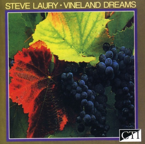 Laury Steve - Vineland Dreams