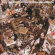 Jamie T - Panic Prevention (Vinyl) Jamie T - Panic Prevention (Vinyl)